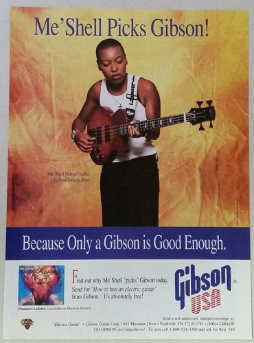Shell ndege ocello - ndege'ocello, gibson